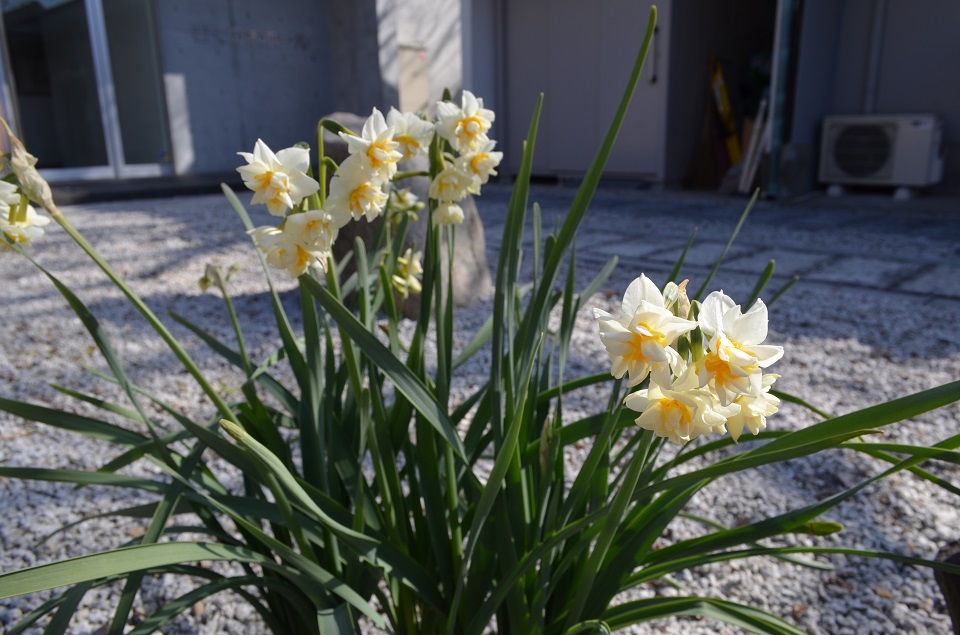 春を待ちわびて むくの木ホール